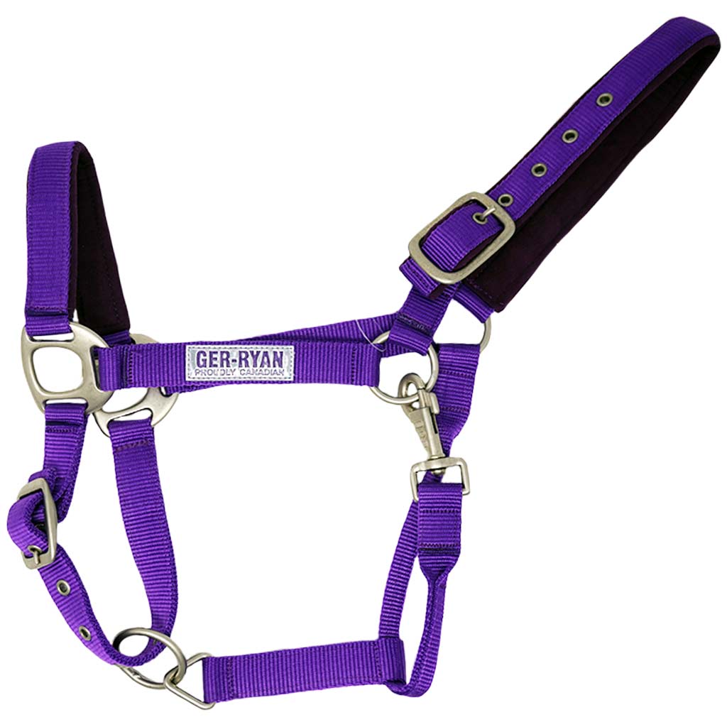 GER-RYAN NYLON HALTER PADDED FULL PURPLE