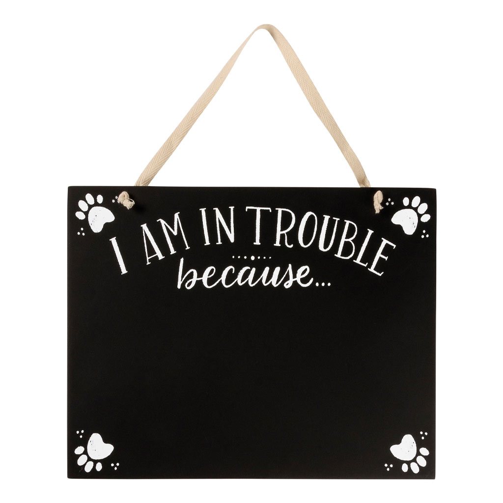 DMB - CANDYM I AM IN TROUBLE HANGING DECOR