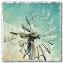 [10084360] DMB - CANDYM TEAL WINDMILL COASTER SINGLE (k)