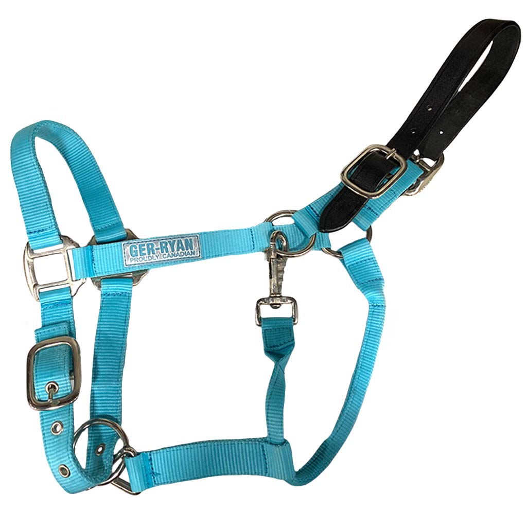 GER-RYAN NYLON HALTER W/ LEATHER BREAKAWAY FULL TURQUOISE