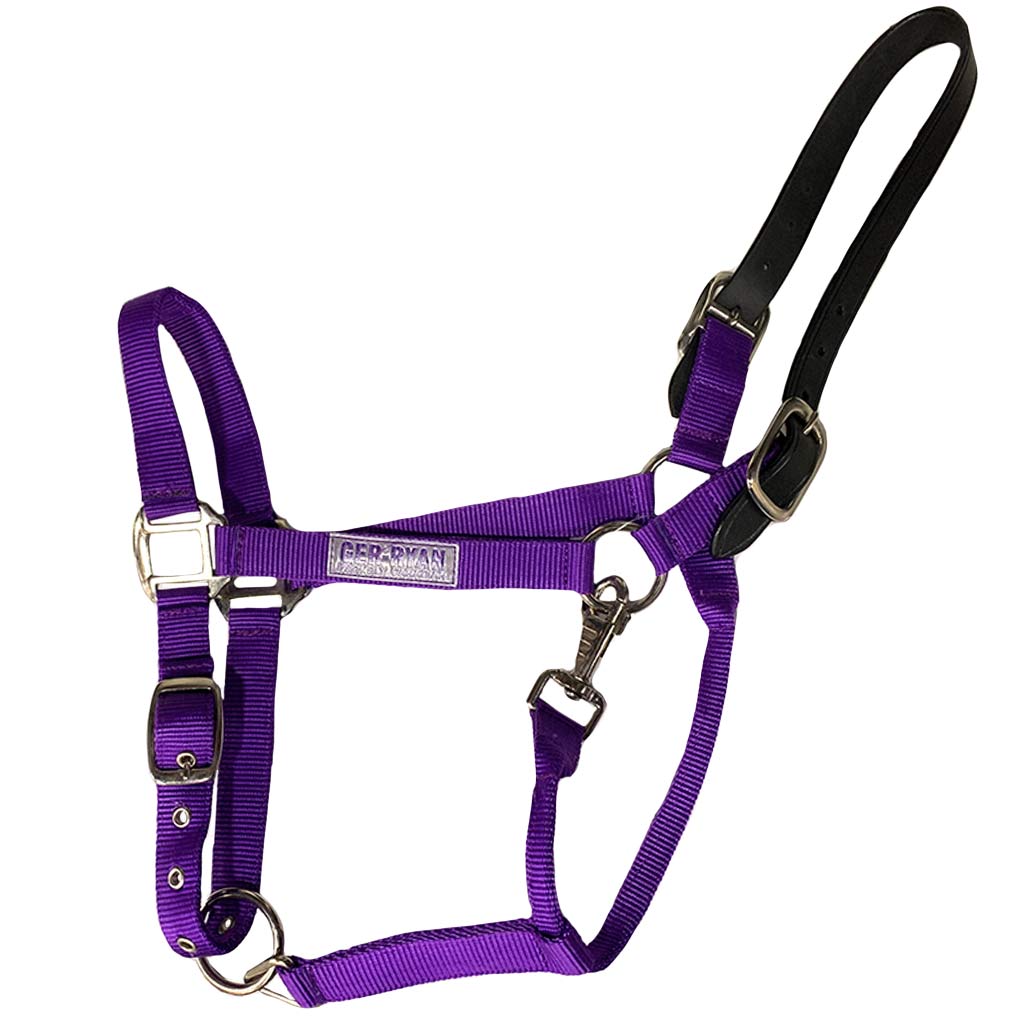 GER-RYAN NYLON HALTER W/ LEATHER BREAKAWAY FULL PURPLE