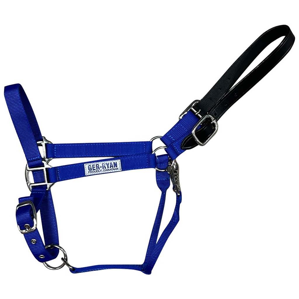 GER-RYAN NYLON HALTER W/ LEATHER BREAKAWAY COB ROYAL BLUE