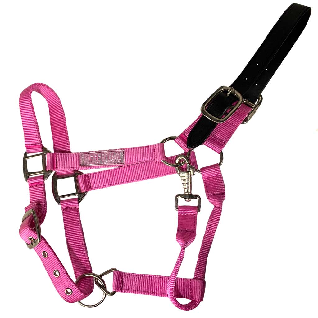 GER-RYAN NYLON HALTER W/ LEATHER BREAKAWAY COB PINK