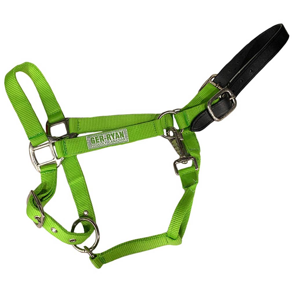 GER-RYAN NYLON HALTER W/ LEATHER BREAKAWAY COB LIME