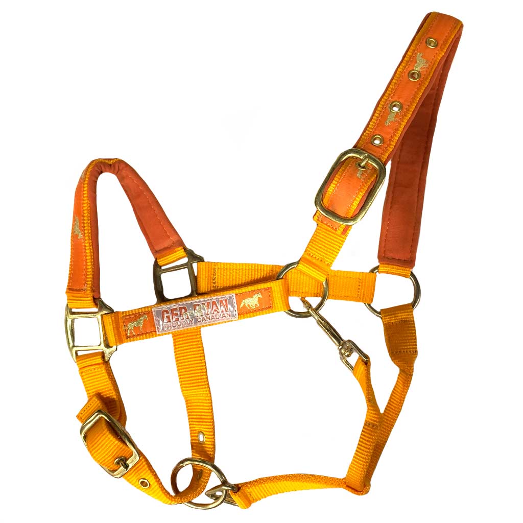 DMB - GER-RYAN NYLON HALTER PADDED HORSE PRINT PONY ORANGE