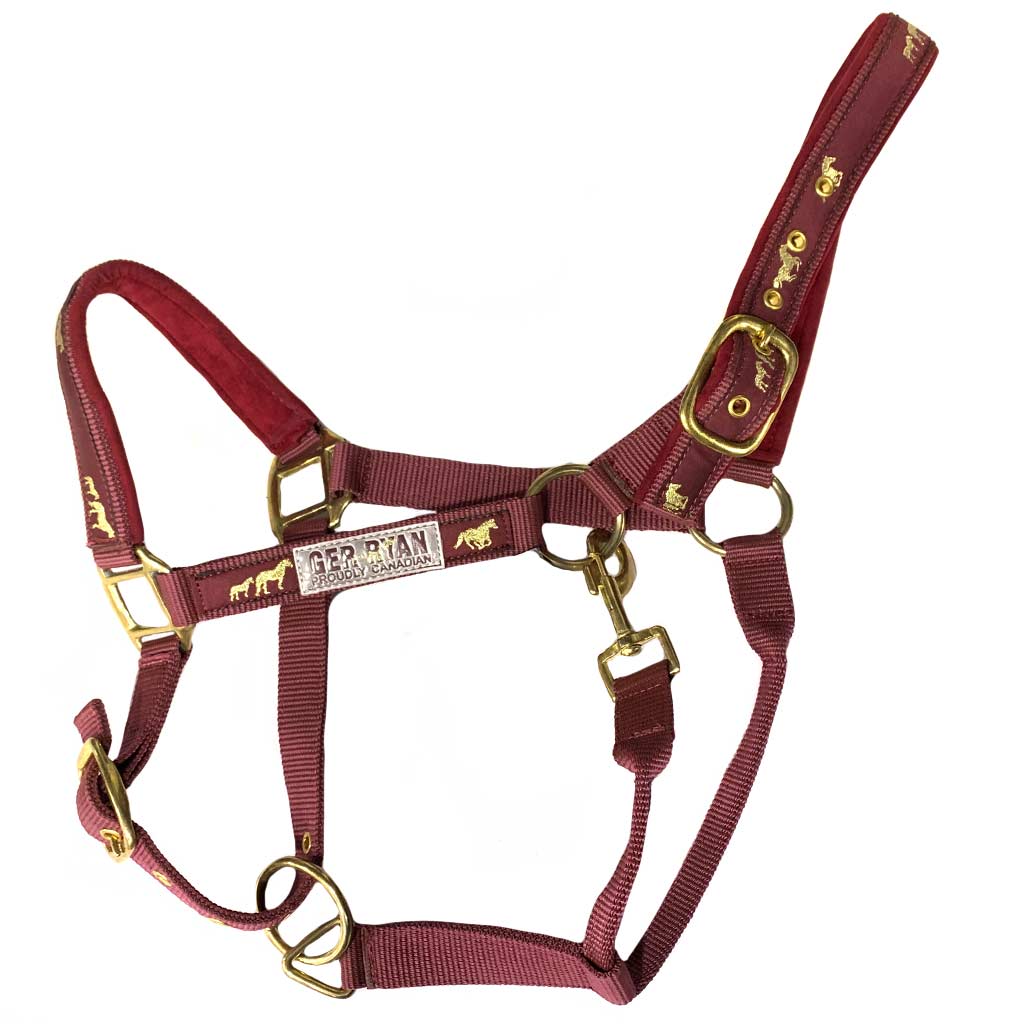 DMB - GER-RYAN NYLON HALTER PADDED HORSE PRINT COB BURGUNDY