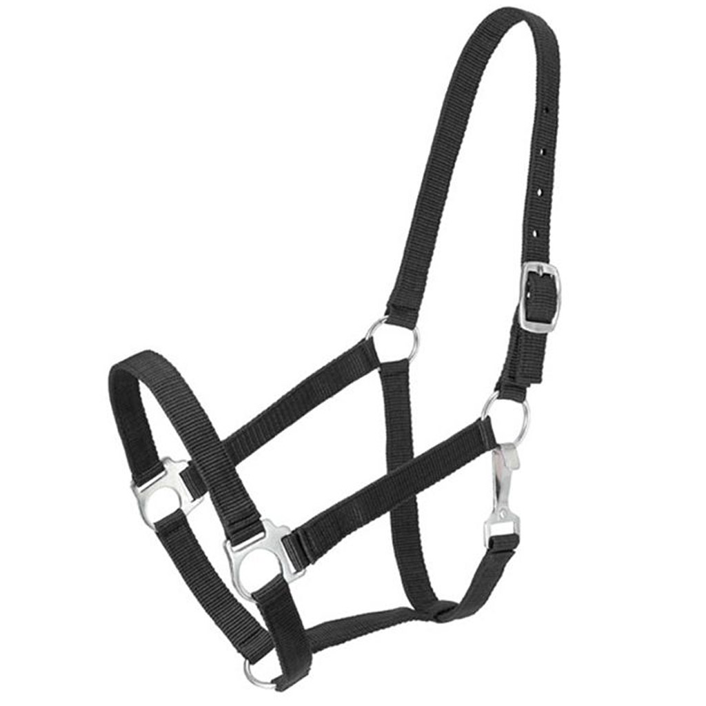 DV - GER-RYAN NYLON HALTER DRAFT 1&quot; SOLID BLACK