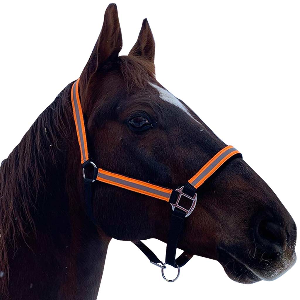 SO - GER-RYAN REFLECTIVE PADDED HALTER FULL