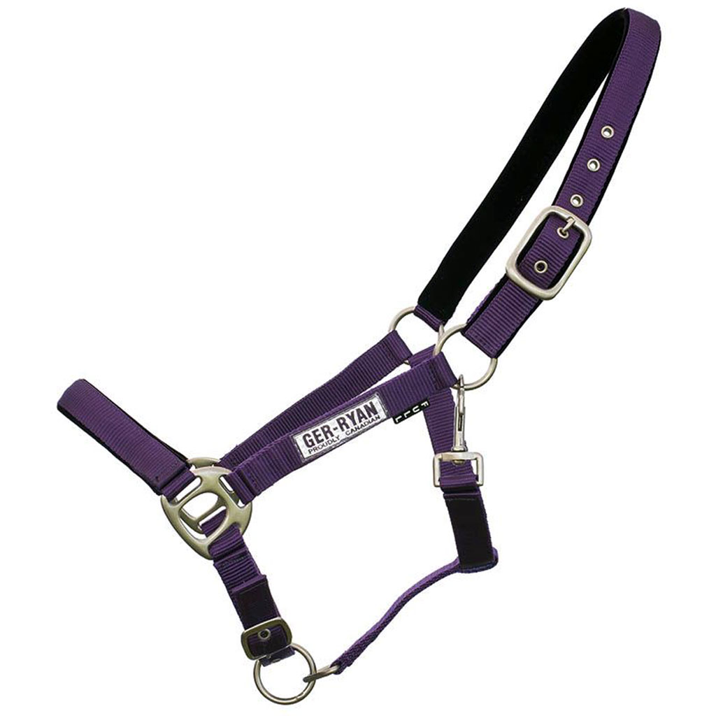 DUPL - GER-RYAN NYLON HALTER PADDED COB PURPLE