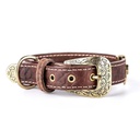 DMB - MY FAMILY EL PASO COLLAR LEATHER BRN MED 35-41CM