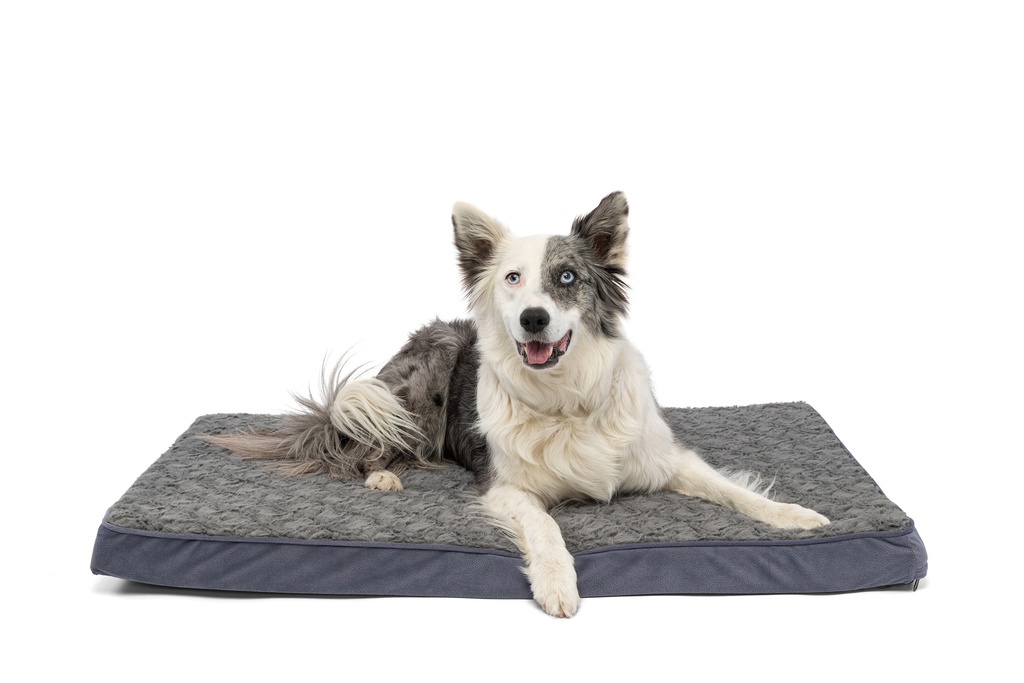 DMB - CARPENTER BRADY PET BED 30&quot; x 40&quot; x 2.5&quot;