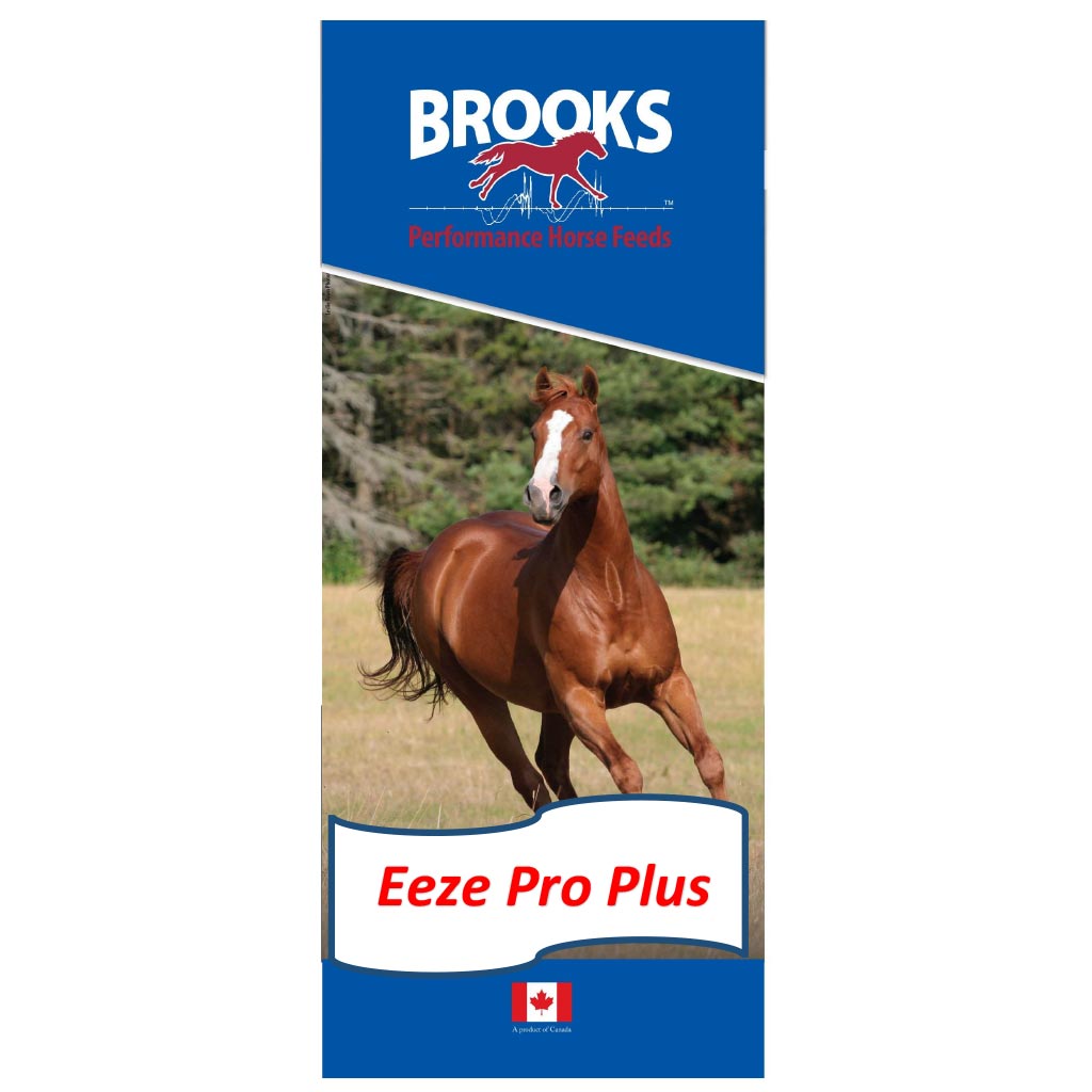 BROOKS EEZE PRO PLUS TEXTURED 25KG