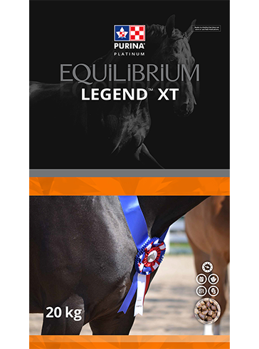 PURINA EQUILIBRIUM LEGEND XT EXT 20KG