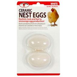 [10036220] DR - LITTLE GIANT CERAMIC NEST EGGS WHITE 2PK