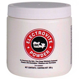 [10065882] DVL ELECTROVITE POWDER 300G