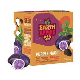 [10079094] EARTH APPLES PURPLE MAGIC SEED POTATOES 2.2LBS 