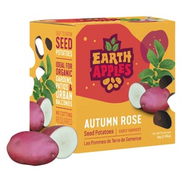 [10080594] EARTH APPLES AUTUMN ROSE SEED POTATOES 2.2LBS