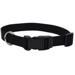 [10080786] COASTAL ADJUSTABLE DOG COLLAR PLASTIC BUCKLE BLACK 5/8&quot;X10-14&quot;