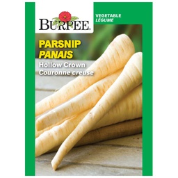 [10081108] BURPEE PARSNIP 