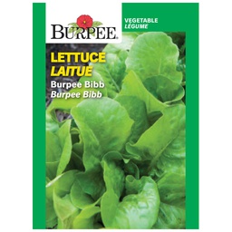 [10081114] BURPEE LETTUCE - BIBB