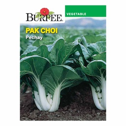 [10081120] BURPEE PAK CHOI