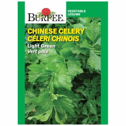 [10081122] BURPEE CHINESE CELERY