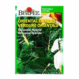 [10081124] BURPEE ORIENTAL GREENS