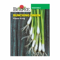 [10081132] BURPEE BUNCHING ONION - FLAVOUR KING