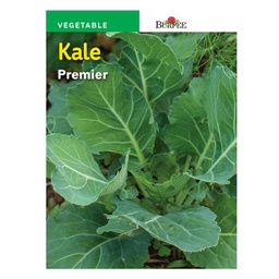 [10081138] BURPEE KALE - PREMIER