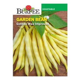 [10081142] BURPEE GARDEN BEAN - GOLDEN WAX 