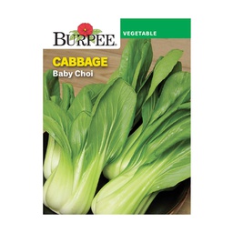 [10081144] BURPEE CABBAGE - BABY CHOI