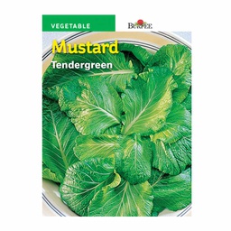 [10081148] BURPEE MUSTARD - TENDERGREEN