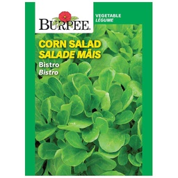 [10081180] BURPEE CORN SALAD