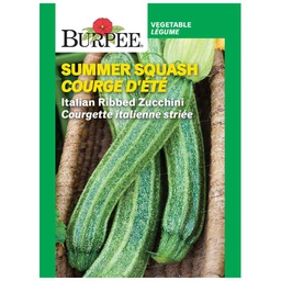 [10081190] BURPEE SUMMER SQUASH - ITALIAN RIBBED ZUCCHINI