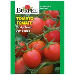 [10081224] BURPEE TOMATO - TASTY TREAT