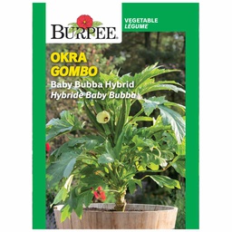 [10081228] BURPEE OKRA- BABY BUBBA HYBRID