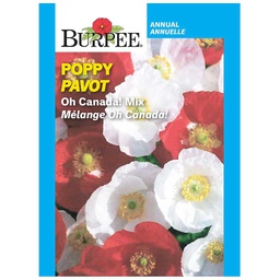 [10081242] BURPEE POPPY - OH CANADA! MIX