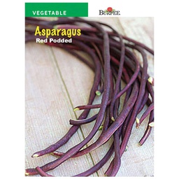 [10081270] BURPEE ASPARAGUS