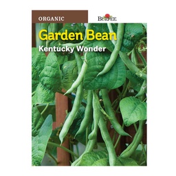 [10081288] BURPEE GARDEN BEAN - KENTUCKY WONDER