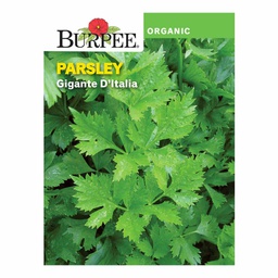 [10081298] BURPEE ORGANIC PARSLEY- GIGANTE D'ITALIA