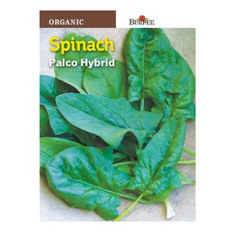 [10081300] BURPEE ORGANIC SPINACH- PALCO HYBRID