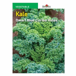 [10081336] BURPEE KALE - DWARF BLUE CURLED VATES