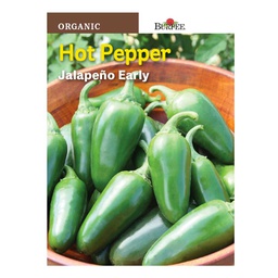 [10081340] BURPEE HOT PEPPER - JALAPENO EARLY