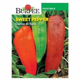 [10081342] BURPEE HOT PEPPER - CORNO DI TORO