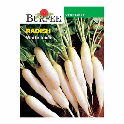 [10081348] BURPEE RADISH - WHITE ICICLE