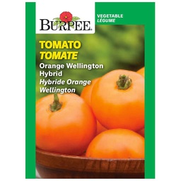 [10081358] BURPEE TOMATO - ORANGE WELLINGTON HYBRID