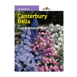 [10081366] BURPEE CANTERBURY BELLS