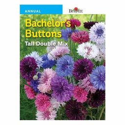 [10081372] BURPEE BACHELOR'S BUTTONS