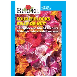 [10081380] BURPEE FOUR O'CLOCKS - KALEIDOSCOPE MIXED COLOURS