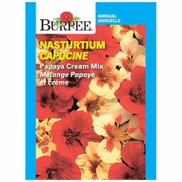 [10081404] BURPEE NASTURTIUM - PAPAYA CREAM MIX